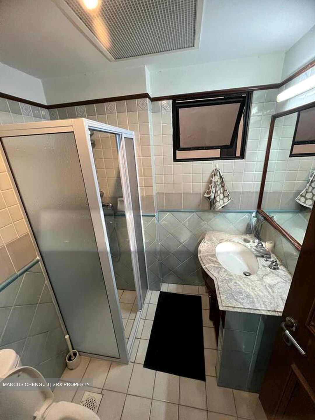 Dover Parkview (D5), Condominium #502526731